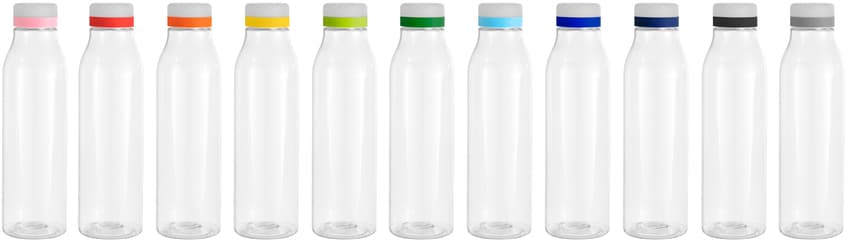 Botella "ANDINA FROST"